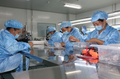 建設(shè)50億級產(chǎn)業(yè)集群 郟縣傾力打造中部地區(qū)知名醫(yī)用耗材產(chǎn)銷地