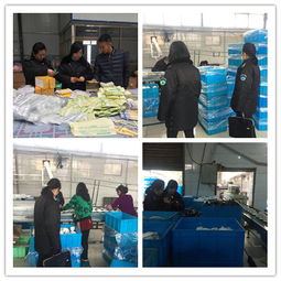 平川區(qū)衛(wèi)生監(jiān)督所開(kāi)展節(jié)前消毒產(chǎn)品和餐飲具集中消毒專(zhuān)項(xiàng)檢查活動(dòng)