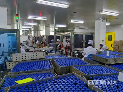 保供抗疫藥品，哈藥復(fù)工防護(hù)用品生產(chǎn)迎挑戰(zhàn)